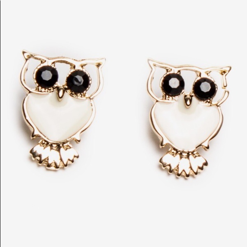 Owl Earrings